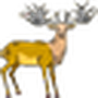 wapiti