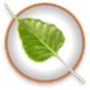Bodhi Linux AppCenter