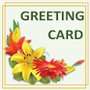 Christmas New Year Greeting Card