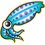 Squid