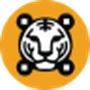 QR Tiger
