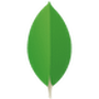 MongoDB