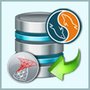 MySQL Database Converter