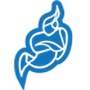 Jitsi Desktop