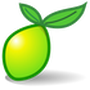 LimeSurvey