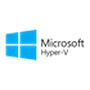 Microsoft Hyper-V Server