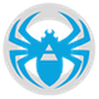 Netpeak Spider
