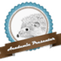 Academic Presenter