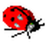 Bug Brain
