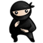 System Ninja