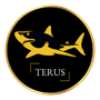 Terus Vn