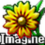 Imagine