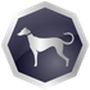 Sighthound Video