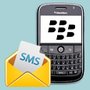Bulk SMS Blackberry Mobile