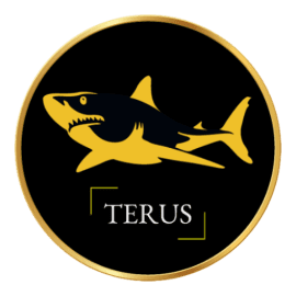 Terus Vn