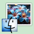 Mac Picture Recovery