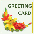 Christmas New Year Greeting Card
