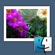 Image Recovery for Mac