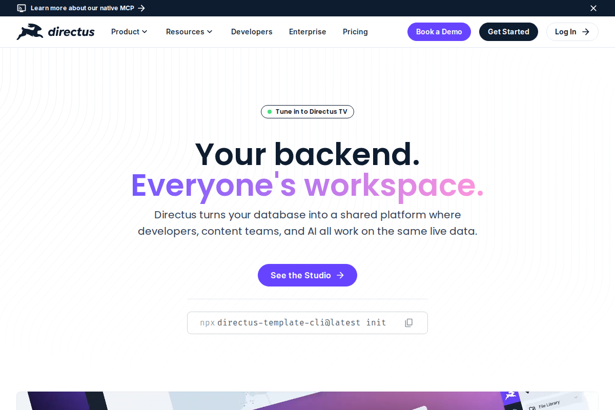 Captura de pantalla de Directus
