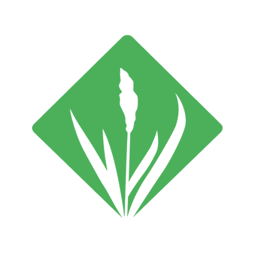 GRASS GIS