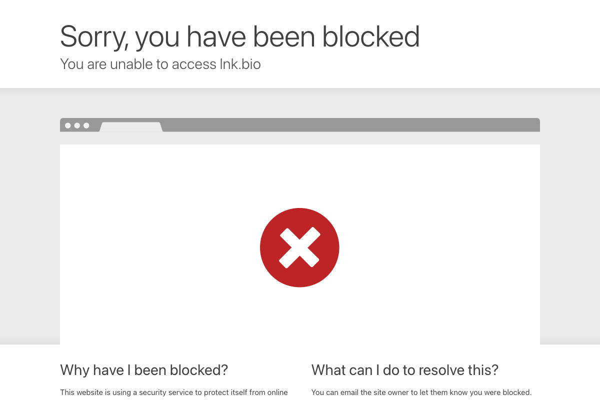 Captura de pantalla de Lnk.Bio