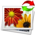 Digital Picture Recovery Software