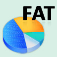 FAT Data Restoration Software