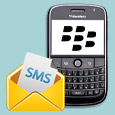Bulk SMS Blackberry Mobile