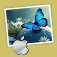 Pictures Recovery Mac Software